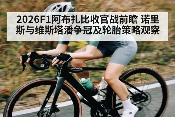 2026F1阿布扎比收官战前瞻 诺里斯与维斯塔潘争冠及轮胎策略观察